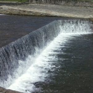 Meet your Posher, Joe